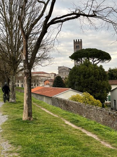 4_Tag_Lucca02