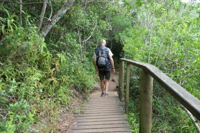 7_Tag_Trail09