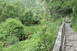 7_Tag_Trail12