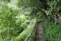 7_Tag_Trail13