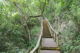 7_Tag_Trail14