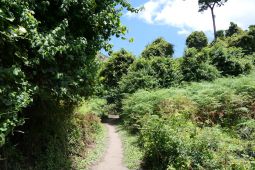 7_Tag_Trail19