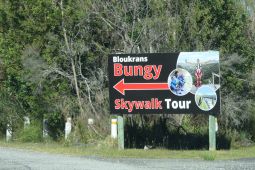 10_Tag_Bungy01