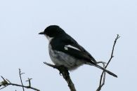12_Tag_Addo05