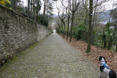 4_Tag_Orta01