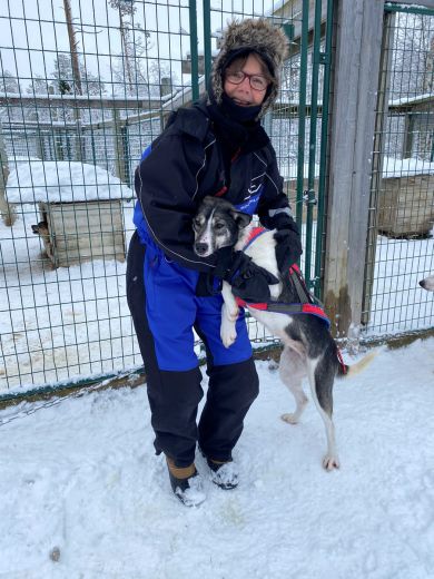 3_Tag_Hunde03