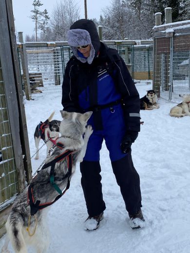 3_Tag_Hunde04