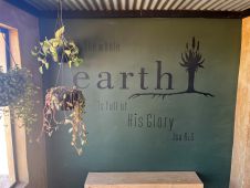 7 Tag Earth01