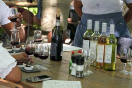 13 Tag Wein11