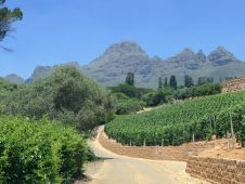 14 Tag Wein28