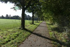 2 Tag Trail08
