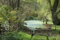 2 Tag Trail16