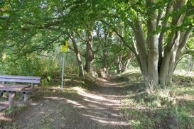 2 Tag Trail21