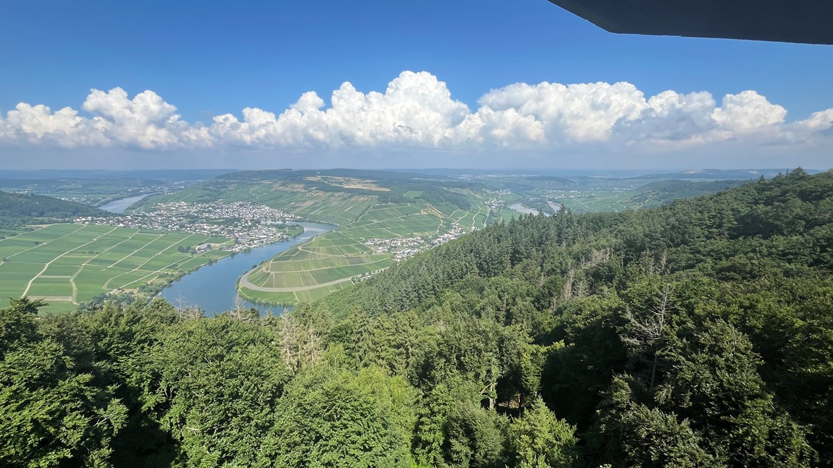 Mosel 2025