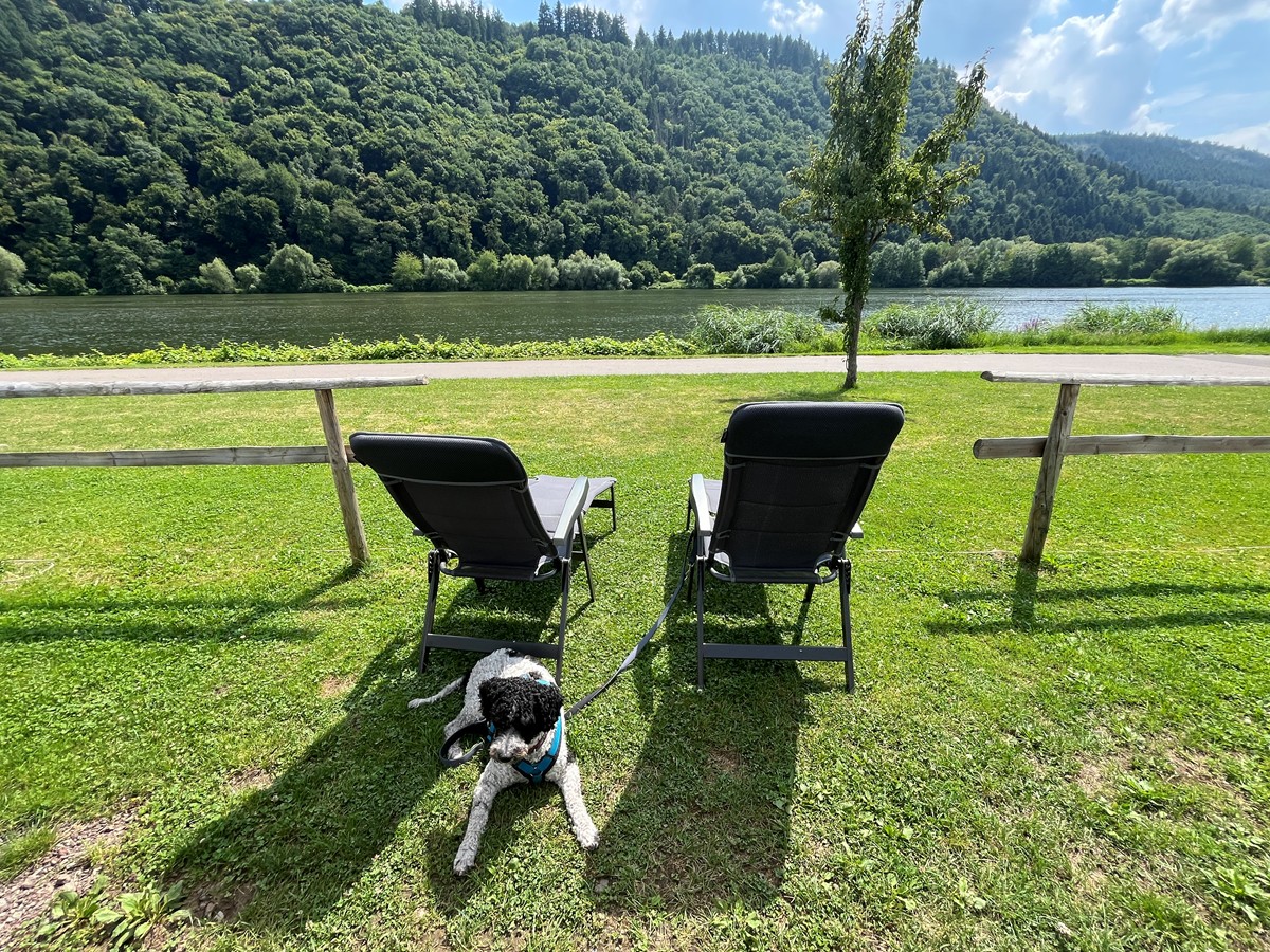 Mosel 2025