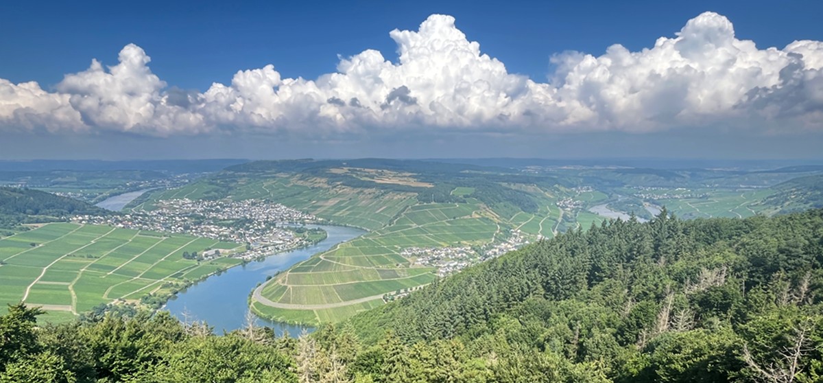 Schaalsee 2024