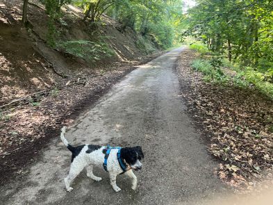 2 Tag Trail16