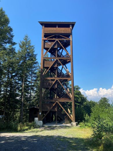 2 Tag Trail19