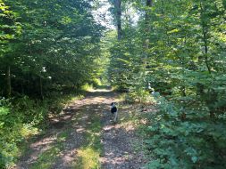 2 Tag Trail22
