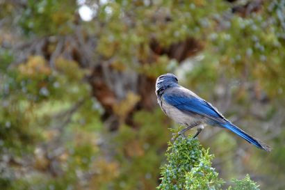 Woodhousehaeher_DSC_2524_1