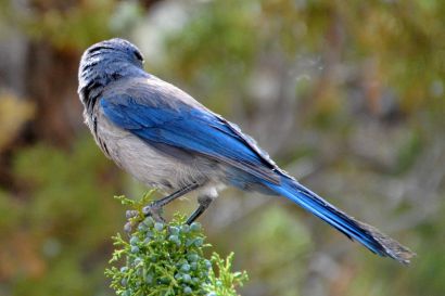 Woodhousehaeher_DSC_2524_2